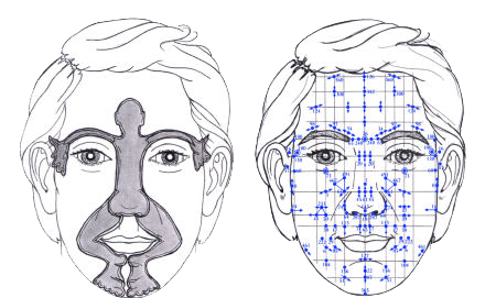 riflessologia facciale